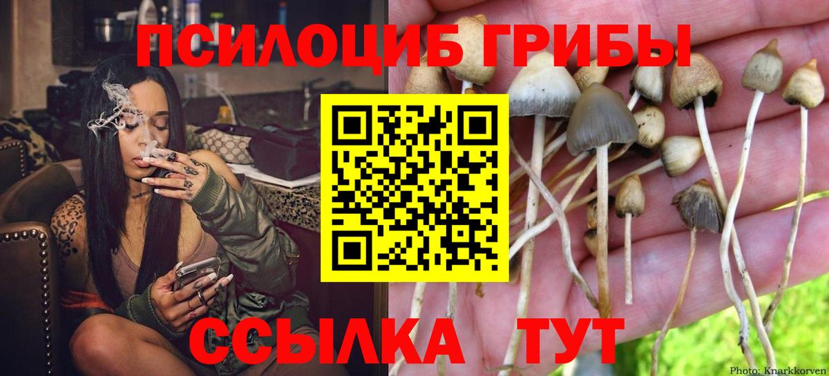 Псилоцибиновые грибы GOLDEN TEACHER Димитровград
